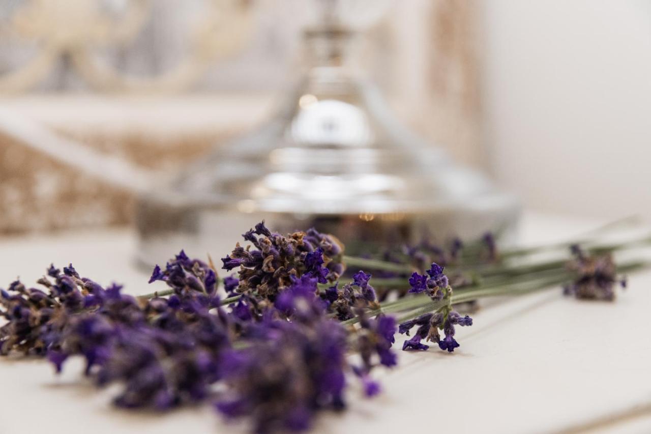 The French Boudoir Apartment Epernay Ngoại thất bức ảnh